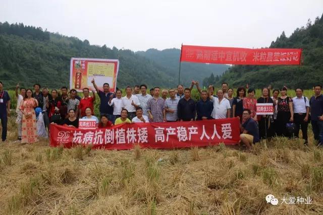 田间交流活动现场，参与者在稻田中合影